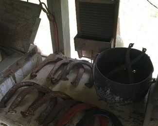 horseshoes 