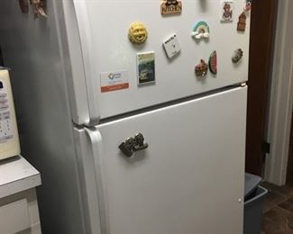 Clean Refrigerator--Magnets extra
