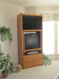 Nice T.V. and DVD