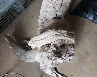 Huge Driftwood