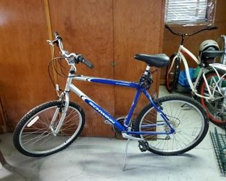 Schwinn Bicycle