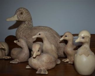 Lovely Family of Ducks in Various stages of young Life and of course! Momma Duck!