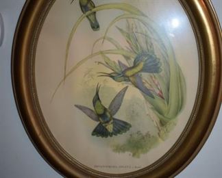 One of 2 Vintage Oval Framed Art of Hummingbirds