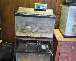 FISH/LIZARD TANKS
