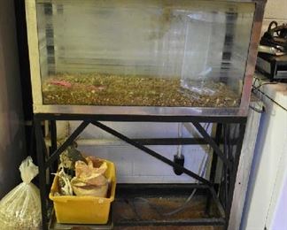 FISH/LIZARD TANK