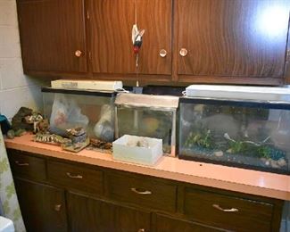 FISH/LIZARD TANKS