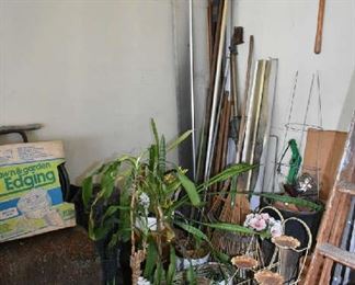 PLANTS