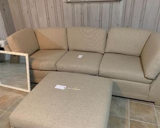 Berne sectional
