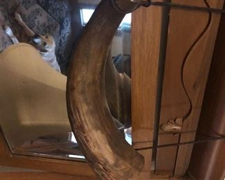 Authentic Bull Horn