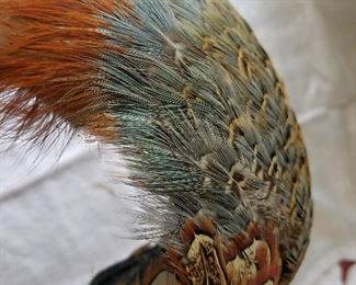 antique feather hats