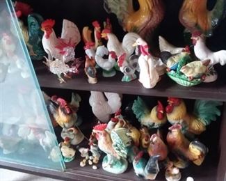 Loads of hens and roosters