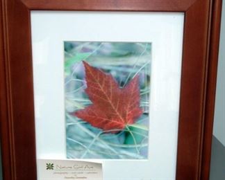 Nature Art