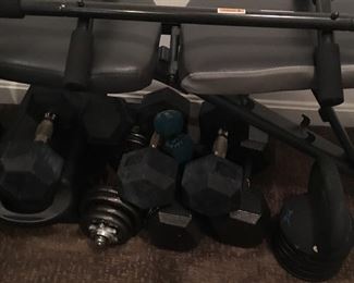 Weights and Bench