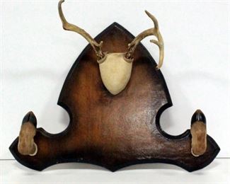 Deer Antlers And Hooves, Mounted