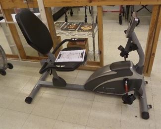 Exerpeutic Recumbent Bike