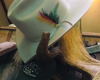 Cowboy hat 