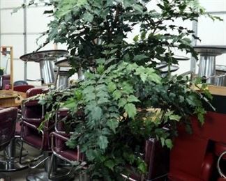 8' Lighted Artificial tree With Pod