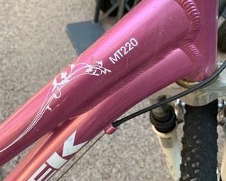 TREK MT220 Kids Bike	