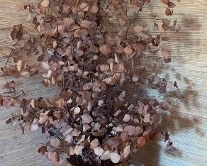 Weave Basket /Branches	