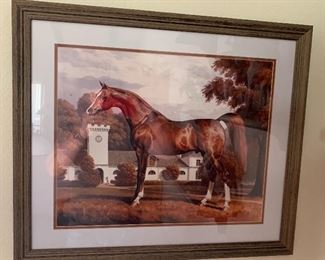 Novak Zemplinski horse Framed Print Polish Arabian 	 