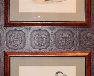 Pair vintage ornithological prints