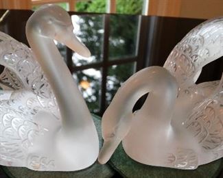 Large Lalique Swans