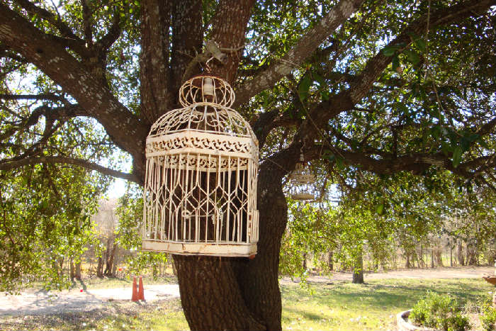 Shabby birdcages