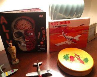 That book on the left is titled ALIVE and it's a POP UP book of human organs and things! SO COOL -- oh, and those are vintage metal model airplanes