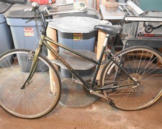 Raleigh Bicycle / Bike