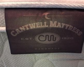 Cantwell Queen Size Electric Bed