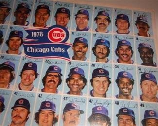 Cubs Team Picture 1978