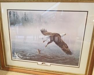 Large signed and Numbered print, American Bald Eagle