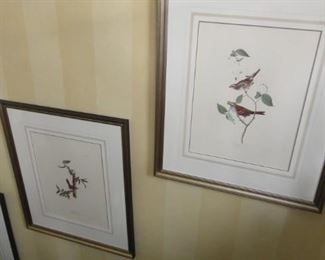 3 large Matching bird prints,