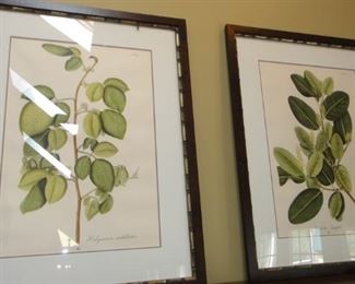 Large prints