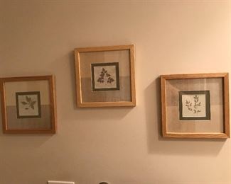 Framed Art Prints