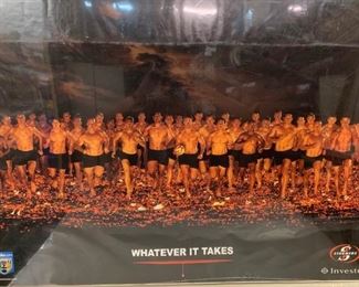 FRAMED, Stormer's Poster, South African Stormer's Poster, $160