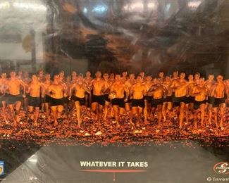 Stormers Poster, $60