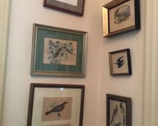 Bird prints in the hallway