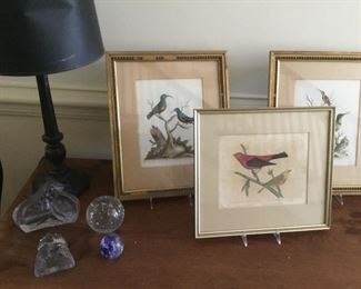 Bird prints and glass 