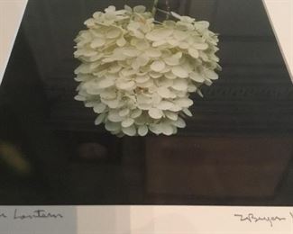 Floral photography signed