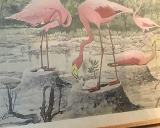 Antique flamingos
