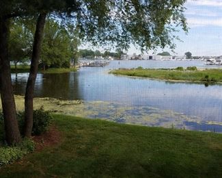 The view through the screen