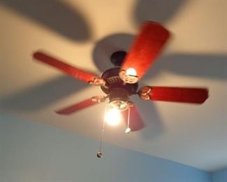 One of the few ceiling fans available for sale. 