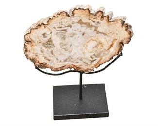 18. Petrified Wood Specimen wDisplay Stand