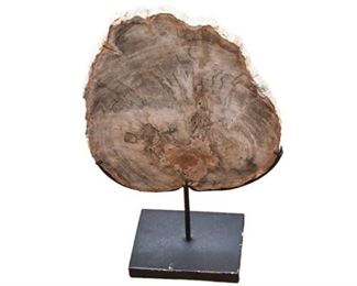 91. Specimen of Petrified wood