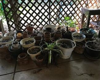 terra cotta pots and plastic pots