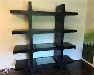 Modern book shelf, great place for knickknacks, large statement pieces or family photos.