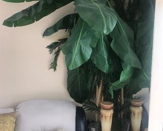 INDOOR PLANTS