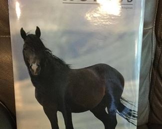 OVERSIZE  HARDCOVER BOOK "HORSES" BY JAMES KINGSTON