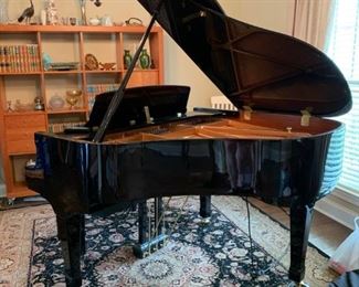 #1		Halley, Davis & Co. Boston Black Ebony Player Piano 07020521 - German World Class Scale Design	 $3,500.00 
